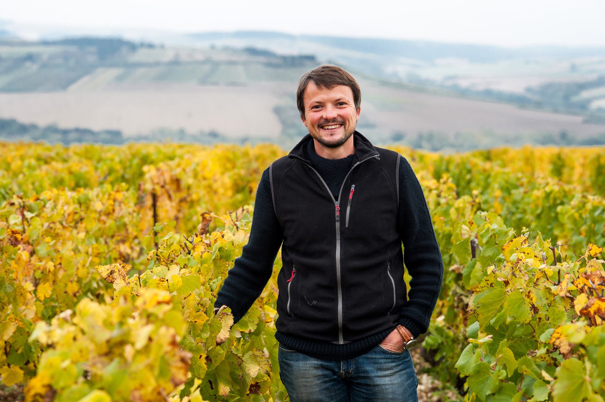 15895873_374329239596281_6398920307666643040_o Domaine d’Edouard