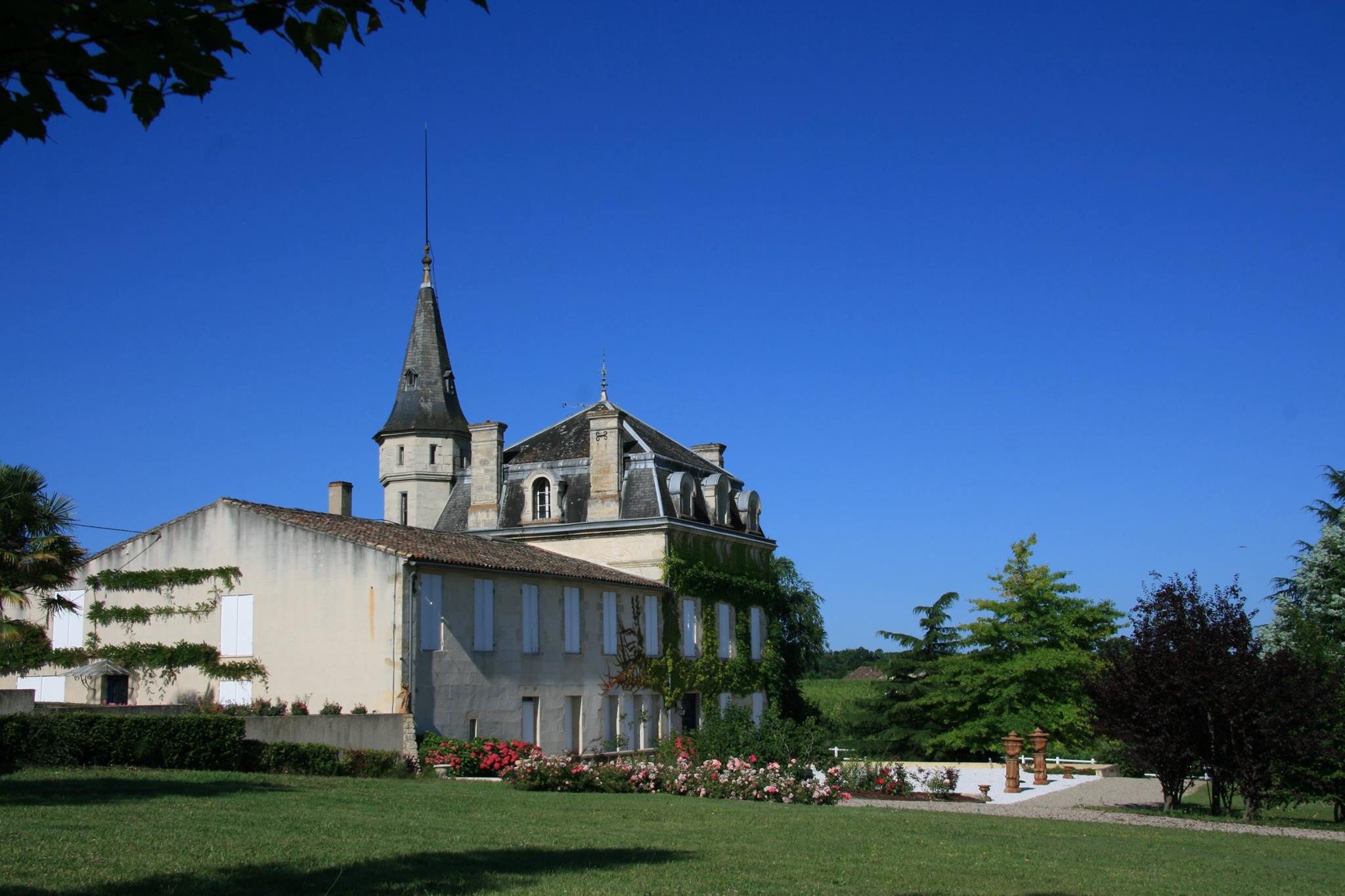 15974873_374437946252077_5474970612990186644_o Château Respide-Médeville