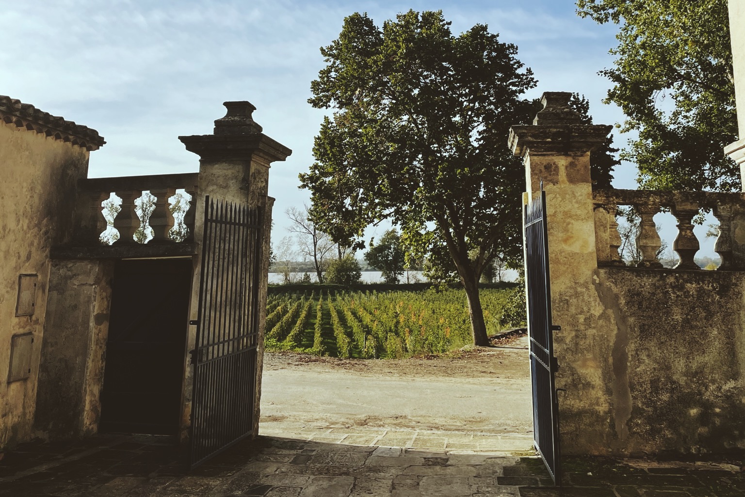 Processed with VSCO with m3 preset