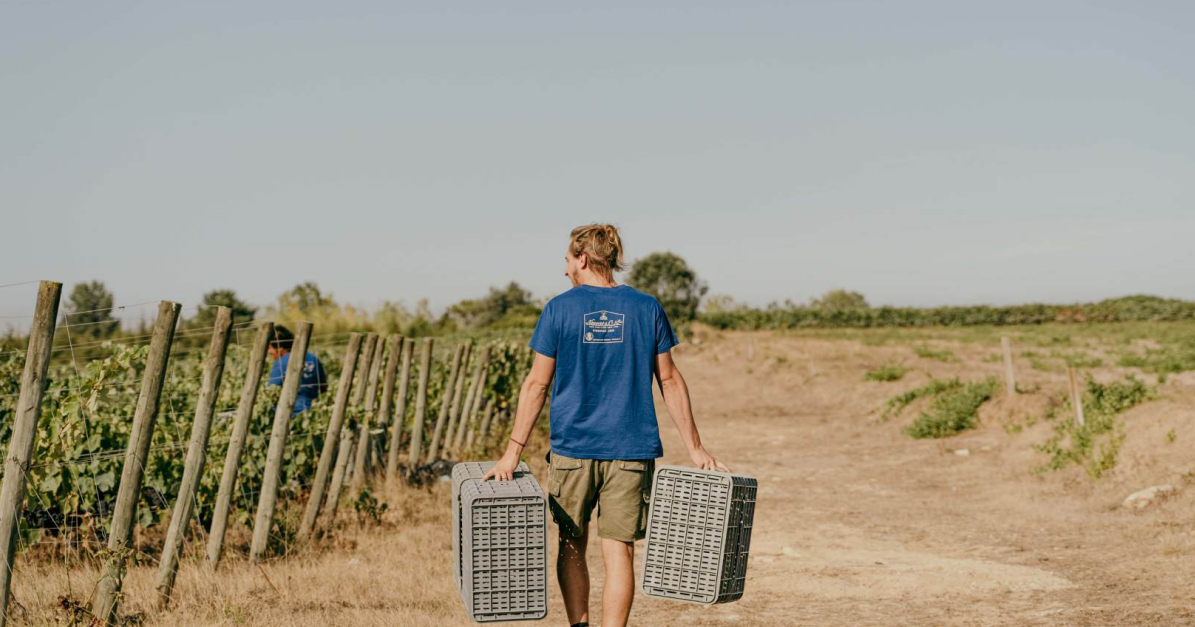Daniel with bins - Baixo